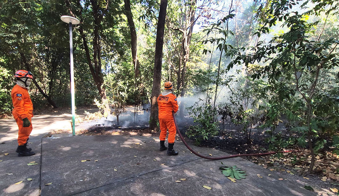 Sinop: bombeiros combatem queimada em área verde na região central
