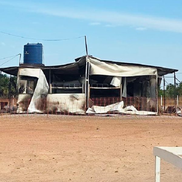 Mais de 500 trabalhadores são resgatados em condições análogas à escravidão em Mato Grosso