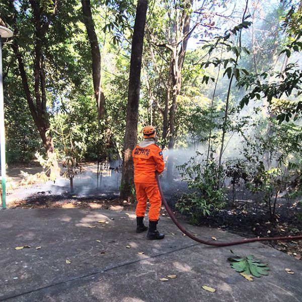 Sinop: bombeiros combatem queimada em área verde na região central