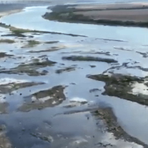 Usina de Colíder em nível de alerta e começa rebaixar reservatório; barcos encalhados e peixes mortos